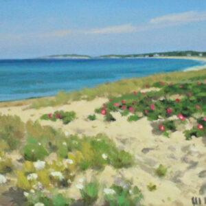 State Beach Edgartown