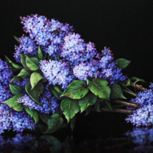 Lilacs