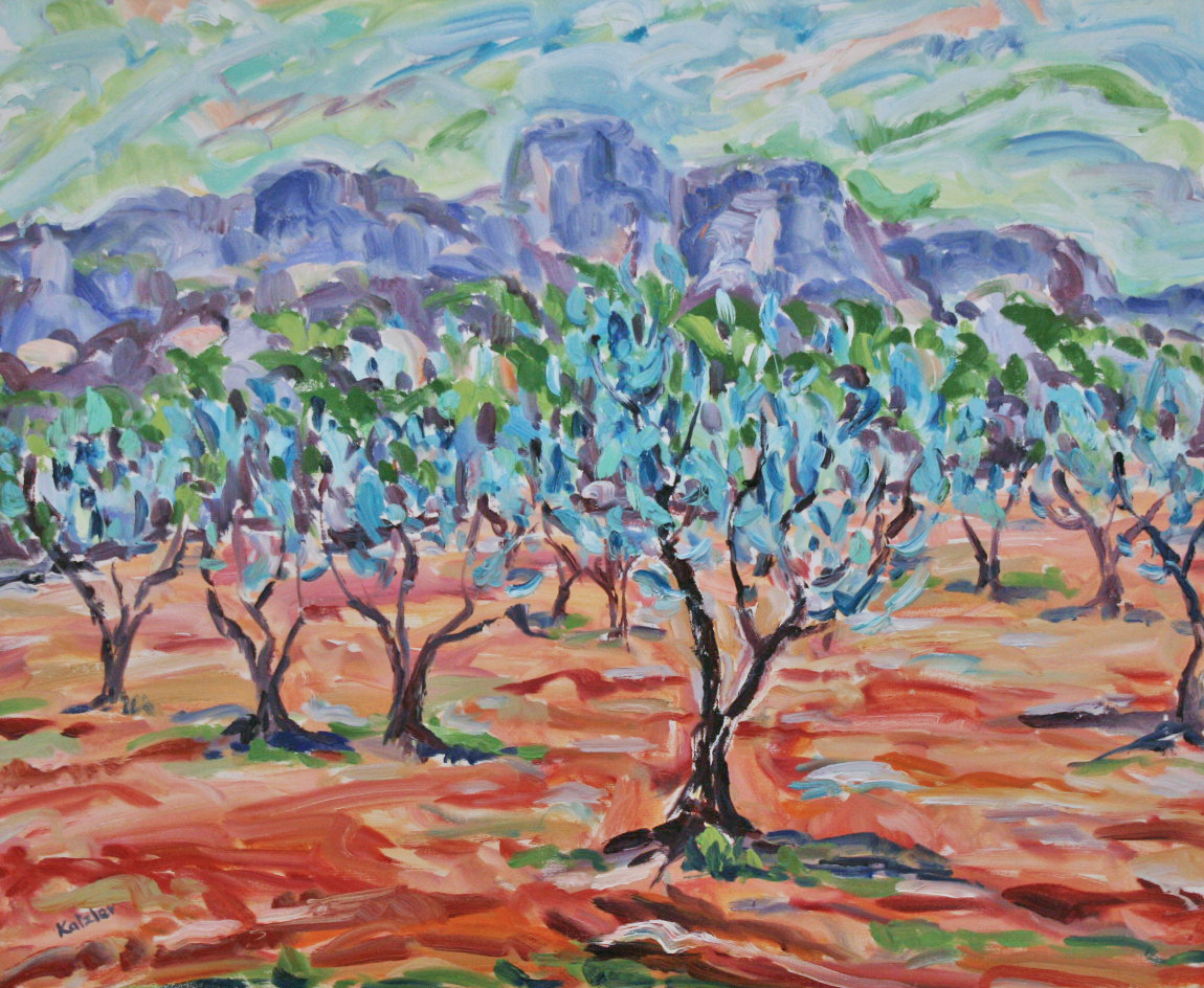 Olive Grove Les Baux